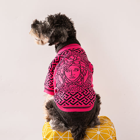 Pawsaic Couture Sweater