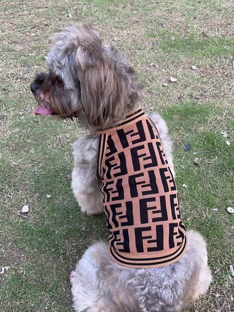 FF Stylish Doggo Sweater