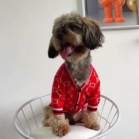 GG Classic Chic Doggo Sweater