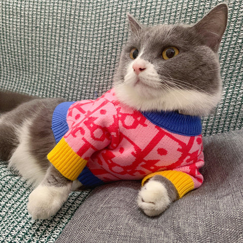 DD Doggo Luxury Sweater