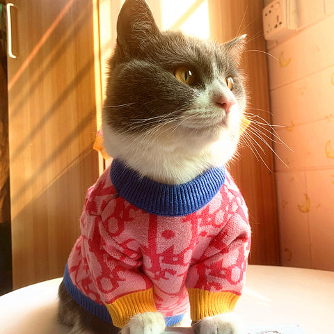 DD Doggo Luxury Sweater