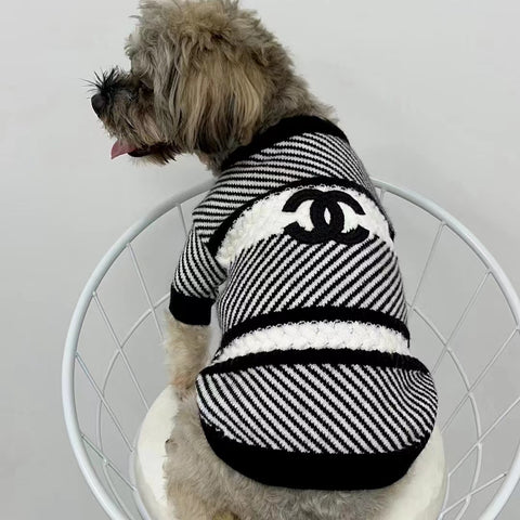 CC Doggo Chic Sweater