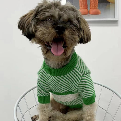 CC Doggo Chic Sweater