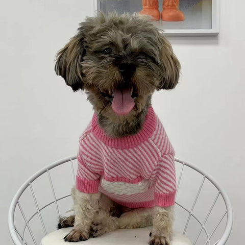 CC Doggo Chic Sweater