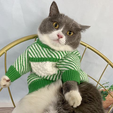 CC Doggo Chic Sweater