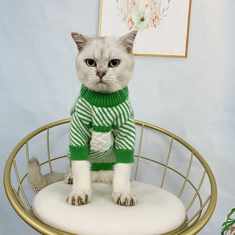 CC Doggo Chic Sweater