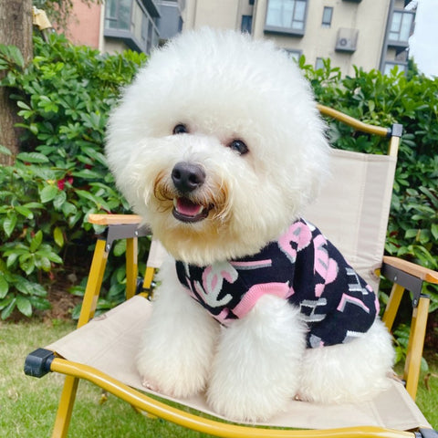 CC Doggo Luxe Hoody Sweater!