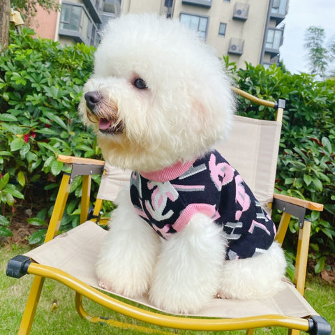 CC Doggo Luxe Hoody Sweater!