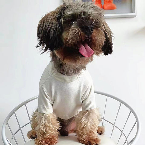 Pawda Chic Doggo Sweater