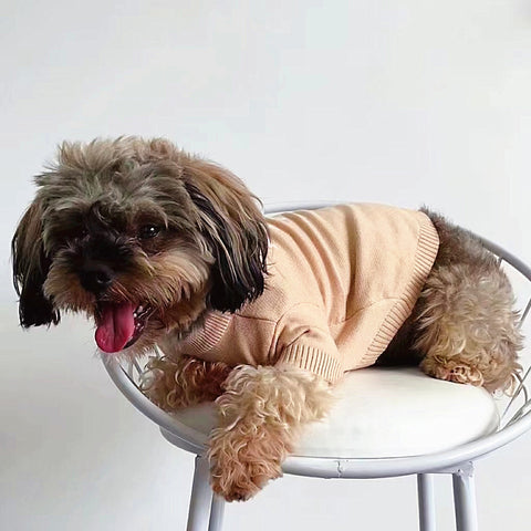 Pawda Chic Doggo Sweater
