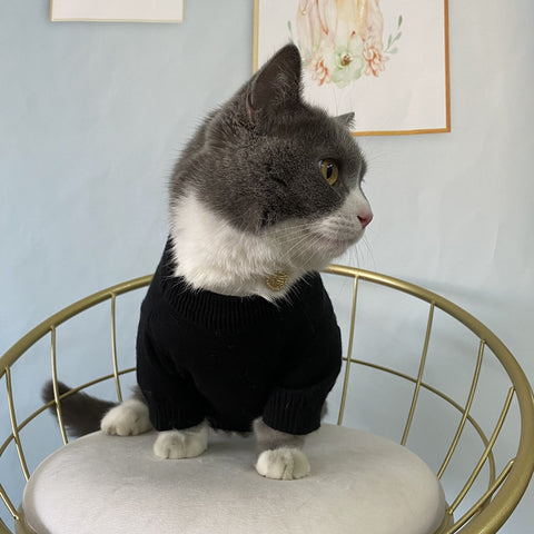 Pawda Chic Doggo Sweater