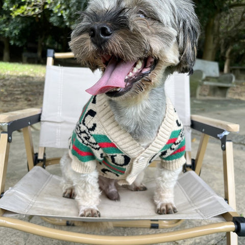 GG Doggo Lining Sweater