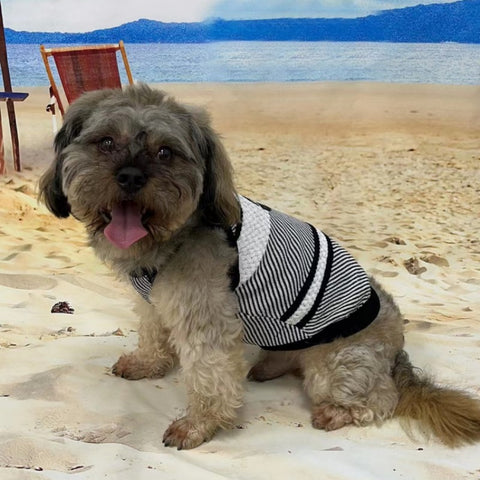 GG Hype Doggo Sweater