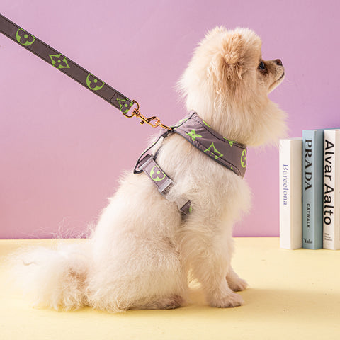 Luxury Designer Pet Harness & Leash Set