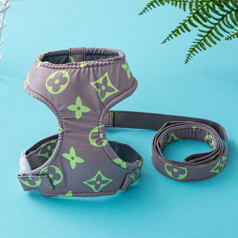 Luxury Designer Pet Harness & Leash Set