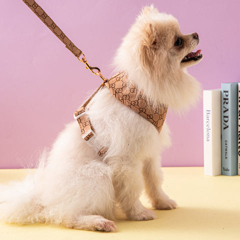 Luxury Pet Harness & Leash Set