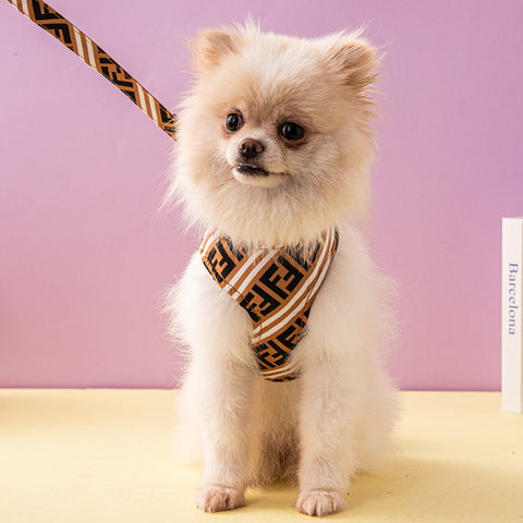 Stylish Geometric Pet Harness & Leash Set
