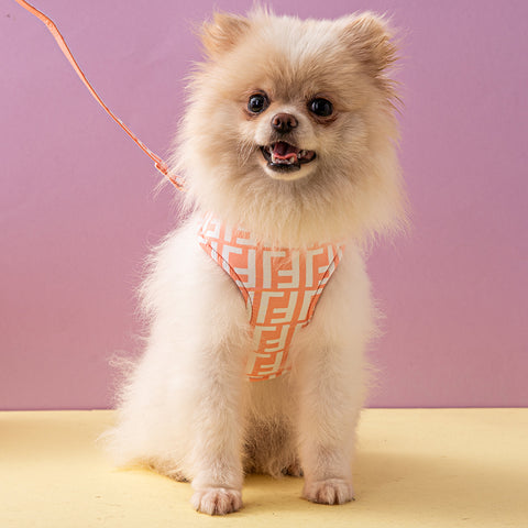Stylish Geometric Pet Harness & Leash Set