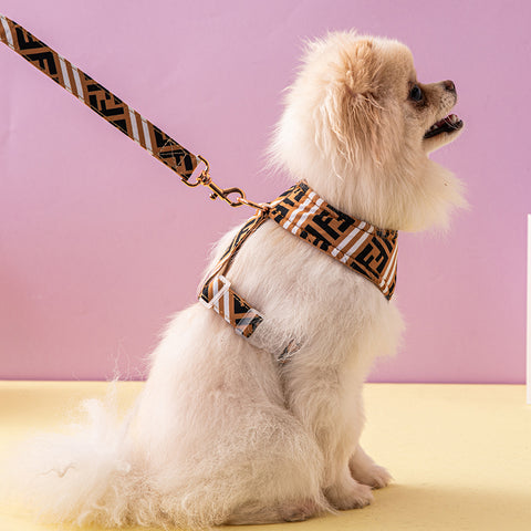 Stylish Geometric Pet Harness & Leash Set