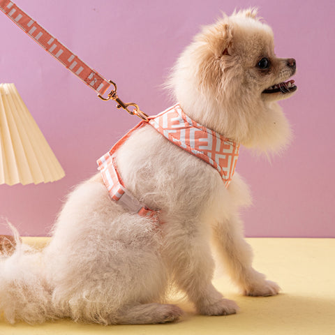 Stylish Geometric Pet Harness & Leash Set