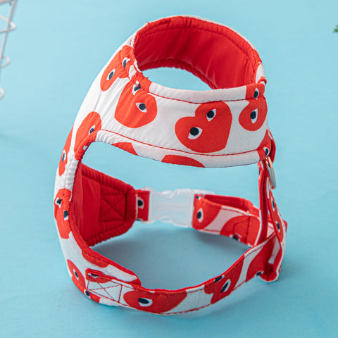 Playful Heart Pet Harness & Leash Set