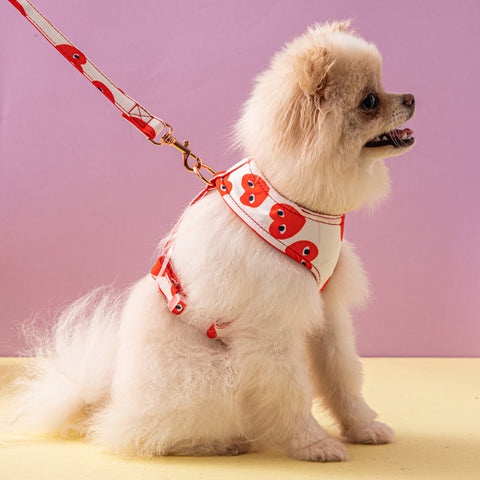 Playful Heart Pet Harness & Leash Set