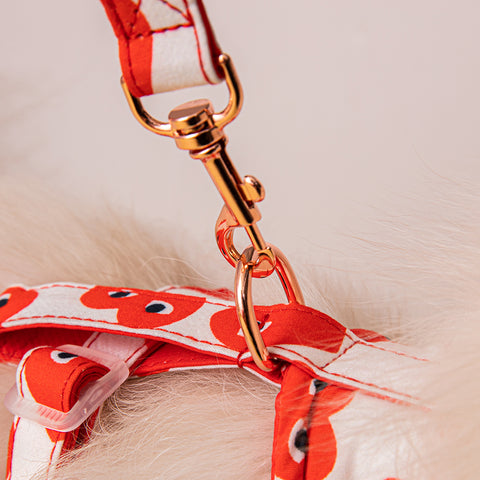 Playful Heart Pet Harness & Leash Set