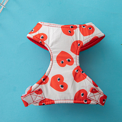 Playful Heart Pet Harness & Leash Set