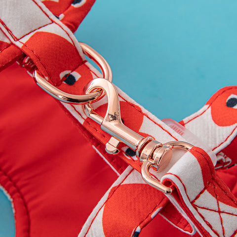 Playful Heart Pet Harness & Leash Set