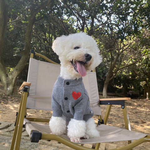 Doggo Amour Heart Sweater