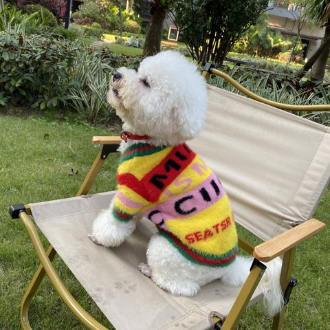 Cozy GG Vibrant Doggo Sweater