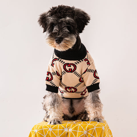 GG Smart Doggo Sweater