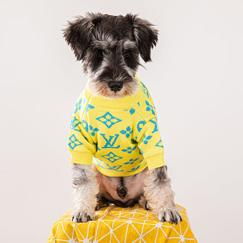 LV Doggo Yellow Sweater