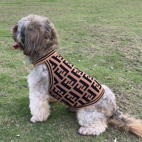 FF Stylish Doggo Sweater