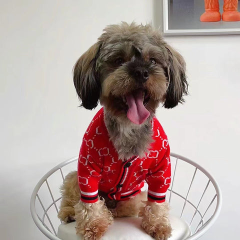 GG Classic Chic Doggo Sweater
