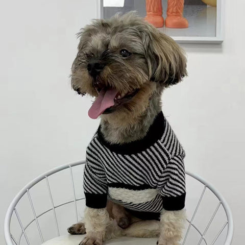 CC Doggo Chic Sweater