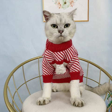 CC Doggo Chic Sweater