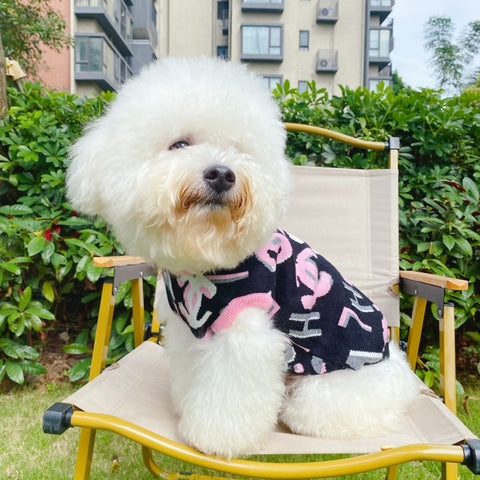 CC Doggo Luxe Hoody Sweater!