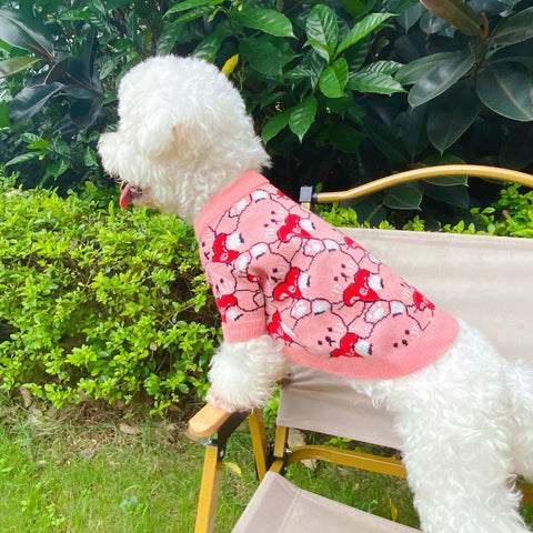 GG Doggo Pink Sweater