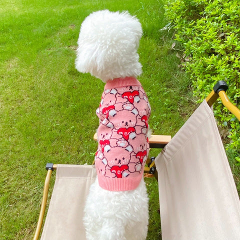 GG Doggo Pink Sweater