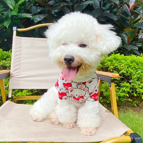 GG Doggo Pink Sweater