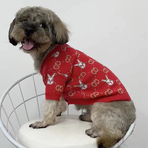 GG Bunny Chic Sweater