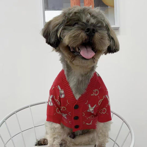 GG Bunny Chic Sweater