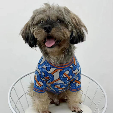 Pawlenciaga Doggo Sweater
