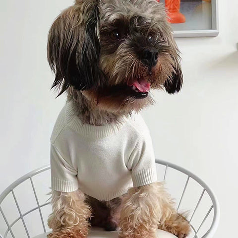 Pawda Chic Doggo Sweater