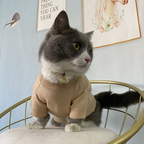 Pawda Chic Doggo Sweater