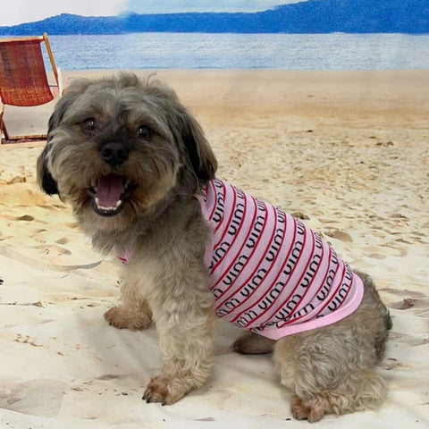 MM Doggo Pink Sweater