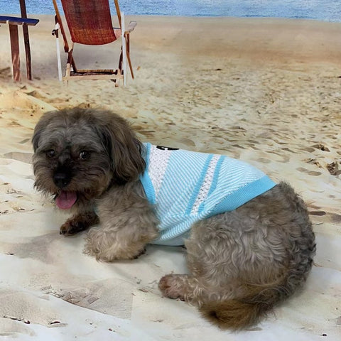 GG Hype Doggo Sweater