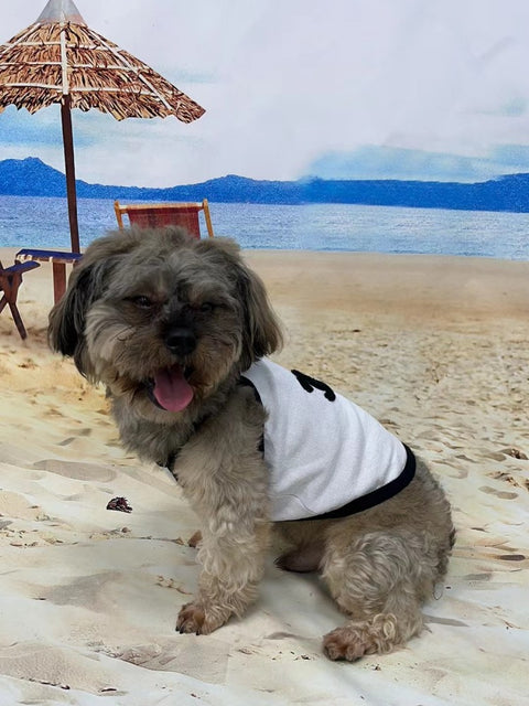 CC Doggo Dress