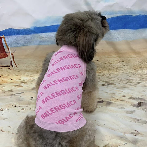 Pawlenciaga Doggo Sweater